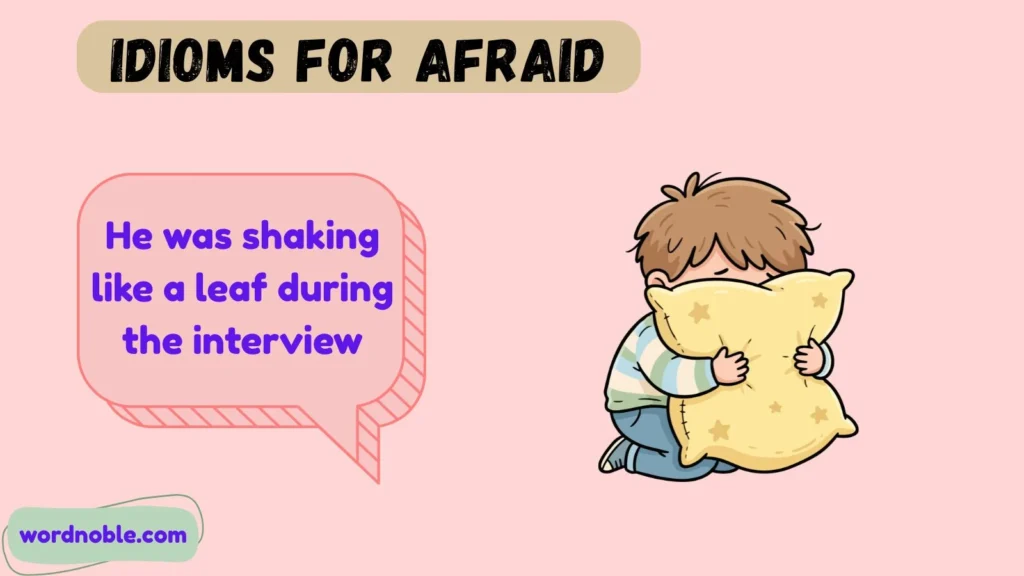 Common Idioms for Afraid