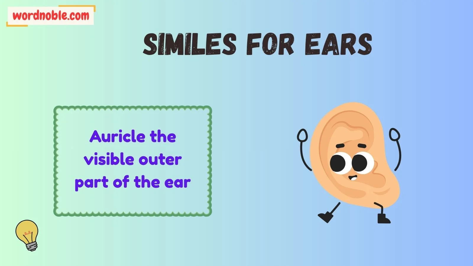 Ear Synonyms