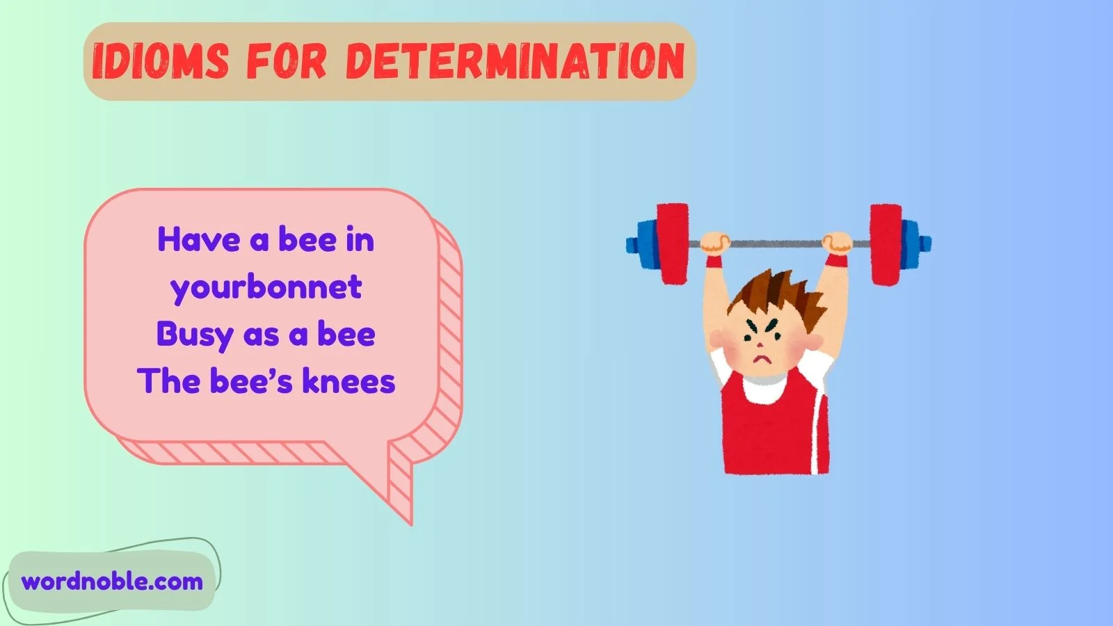 Insect Idioms And Phrases