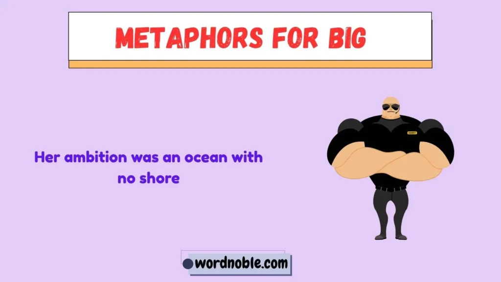 Meaning of Metaphors for Big