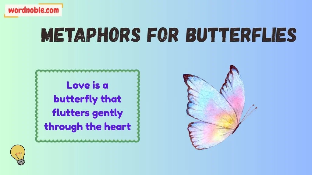 Metaphors For Butterflies Love