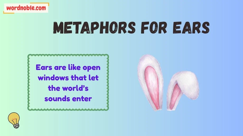 Metaphors For Ears In English