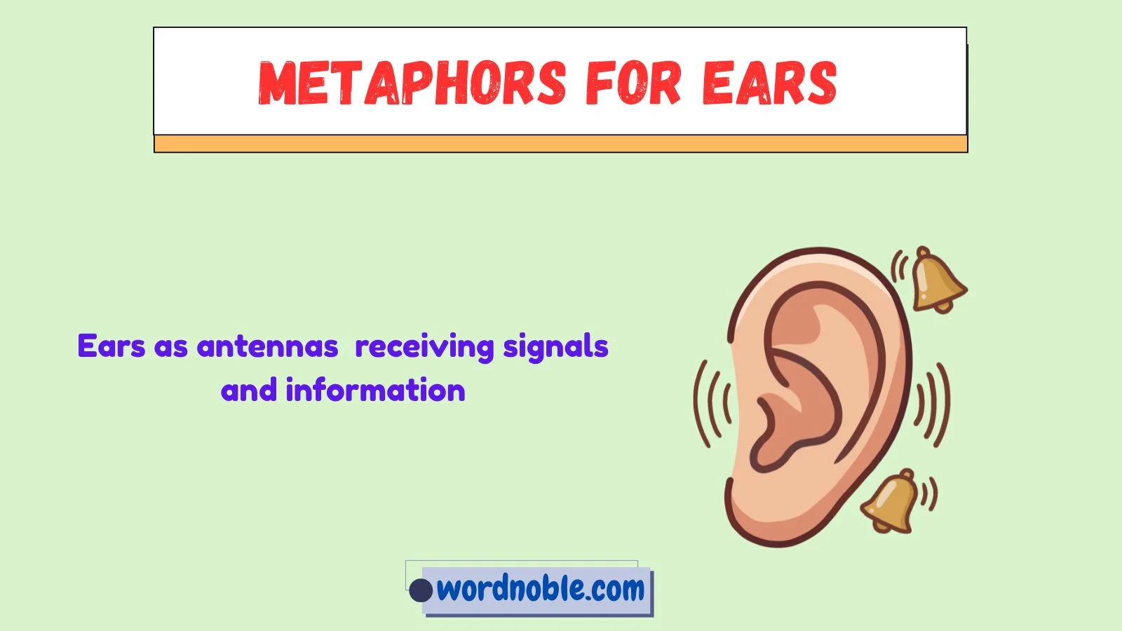 metaphors for ears