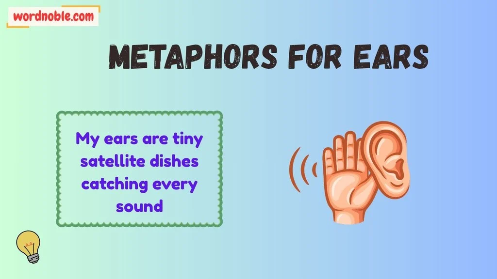 Short Metaphors For Ears