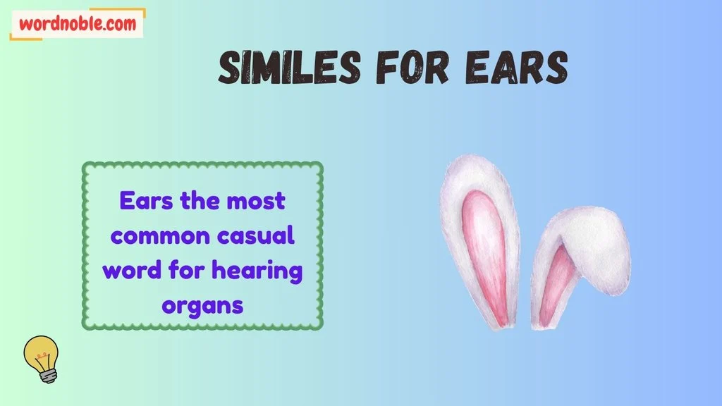 Slang Words For Ears