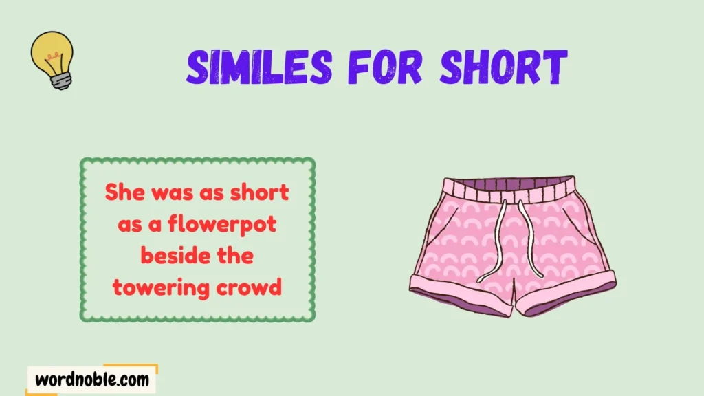 Understanding the Meaning of Similes for Short
