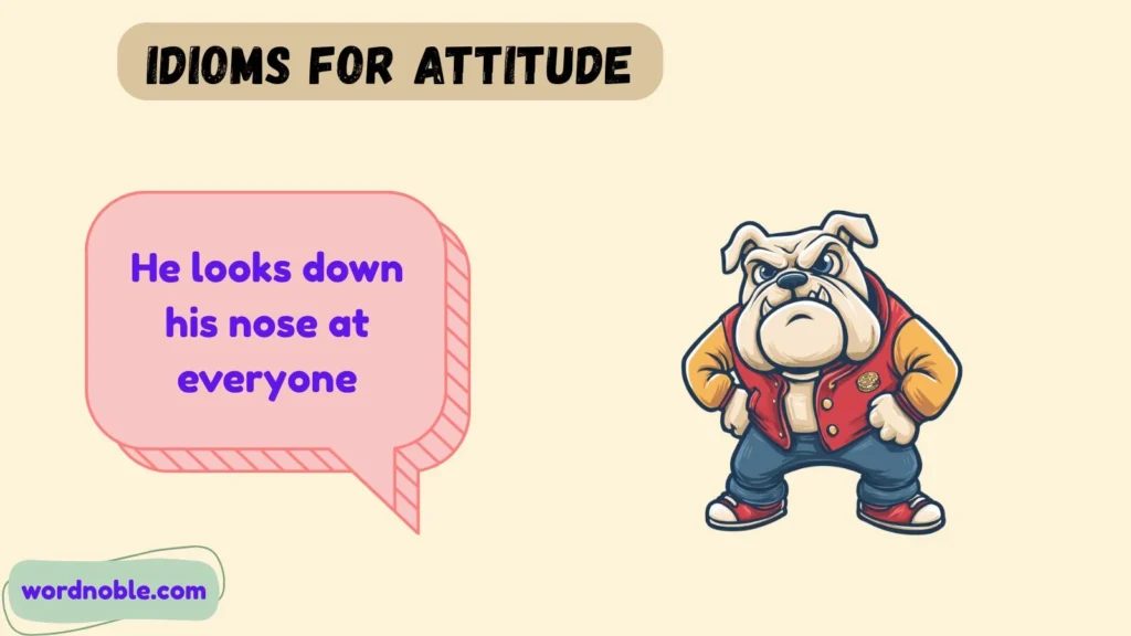 What Are Idioms for Attitude?