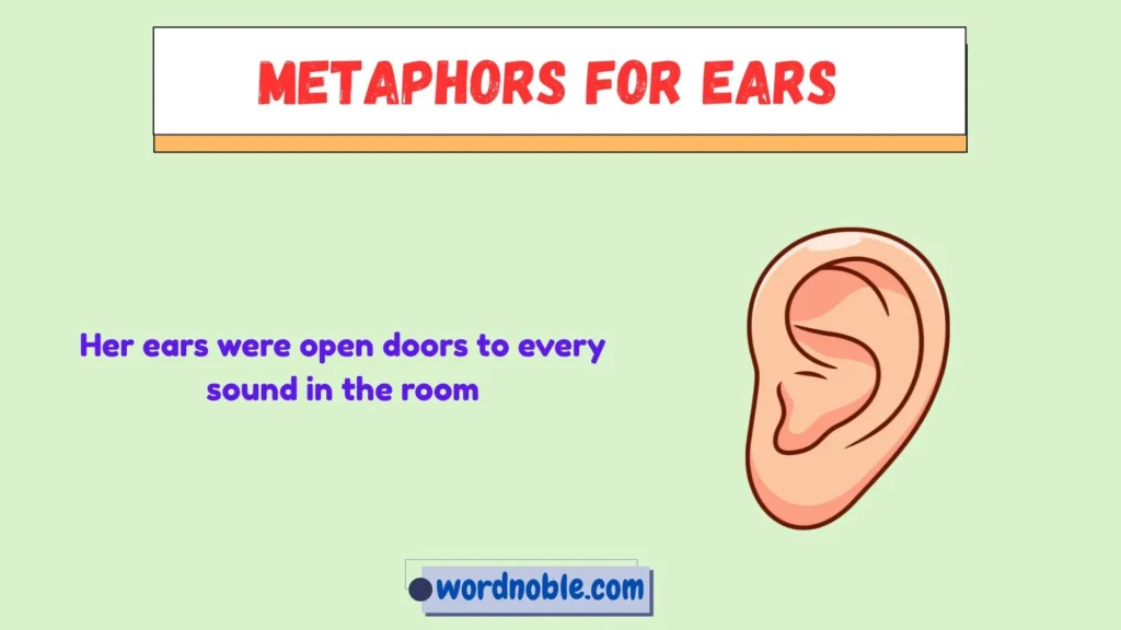 What Are Metaphors for Ears?