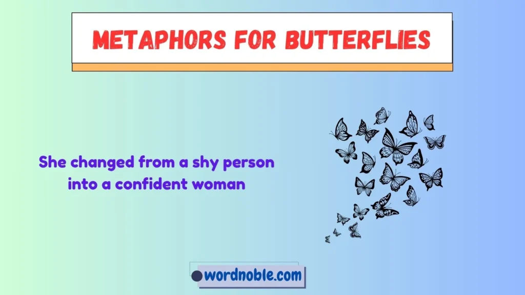 What Do Metaphors for Butterflies Mean?