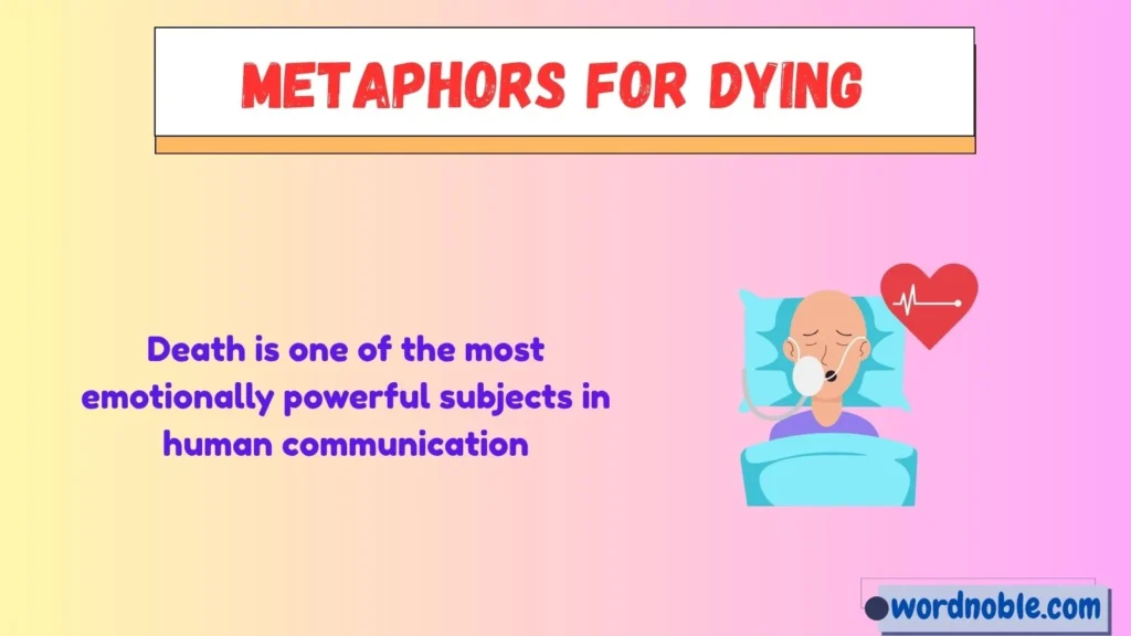 Why Do Writers Use Metaphors for Dying?