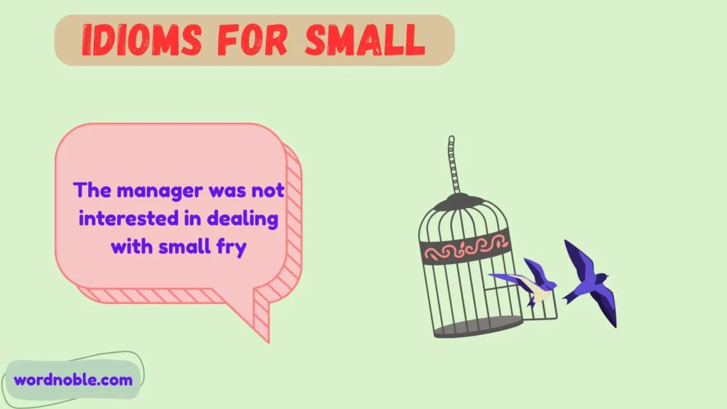 Animal-Based Expressions
