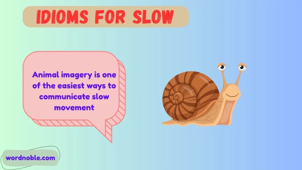 Idioms for Slow by Meaning