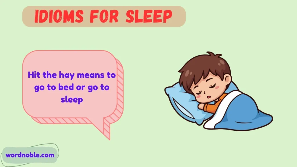 Meaning of Idioms for Sleep