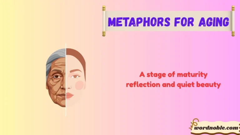 metaphors for aging