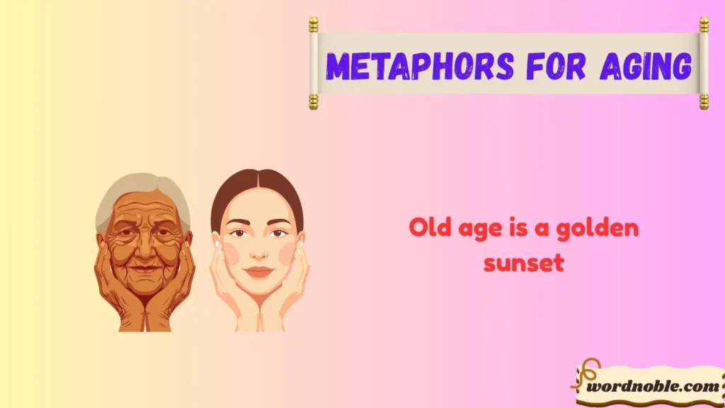 What Are Metaphors for Aging?
