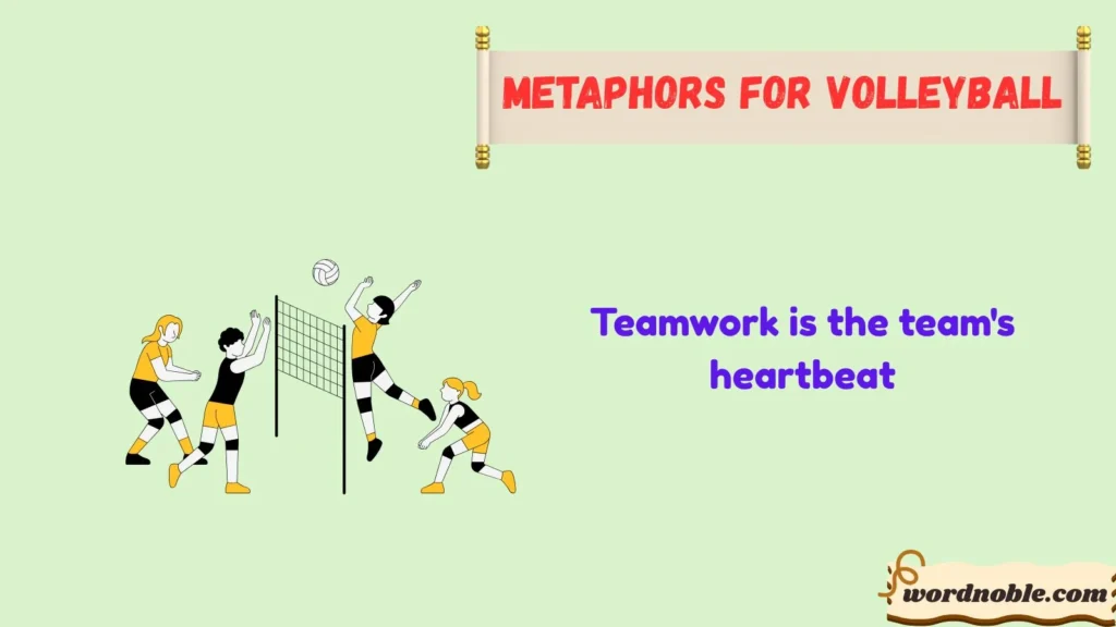 What Are Metaphors for Volleyball?