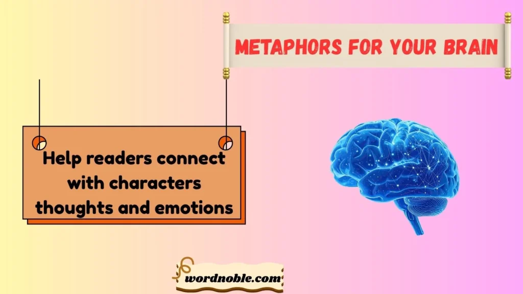 Why Writers Use Metaphors for the Brain