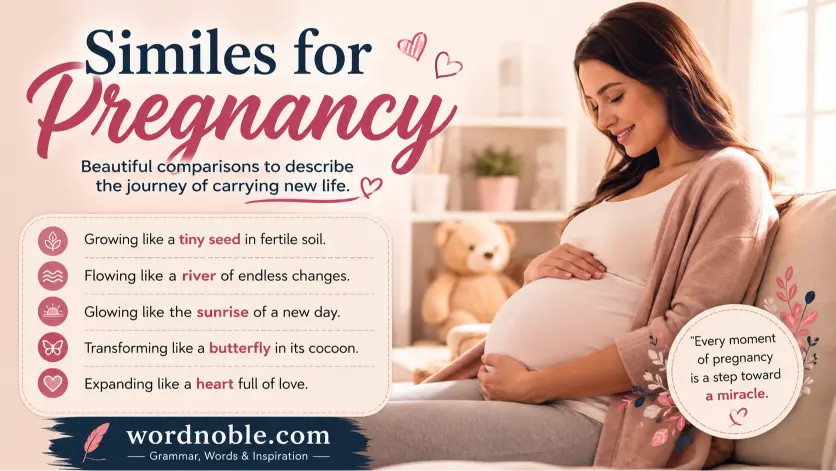 similes for pregnancy