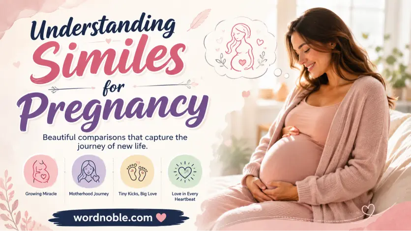 Understanding Similes for Pregnancy