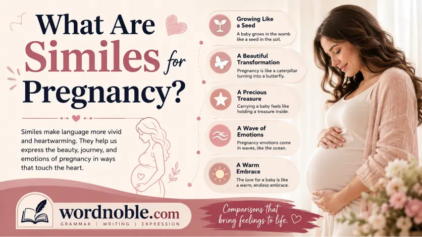 What Are Similes for Pregnancy?