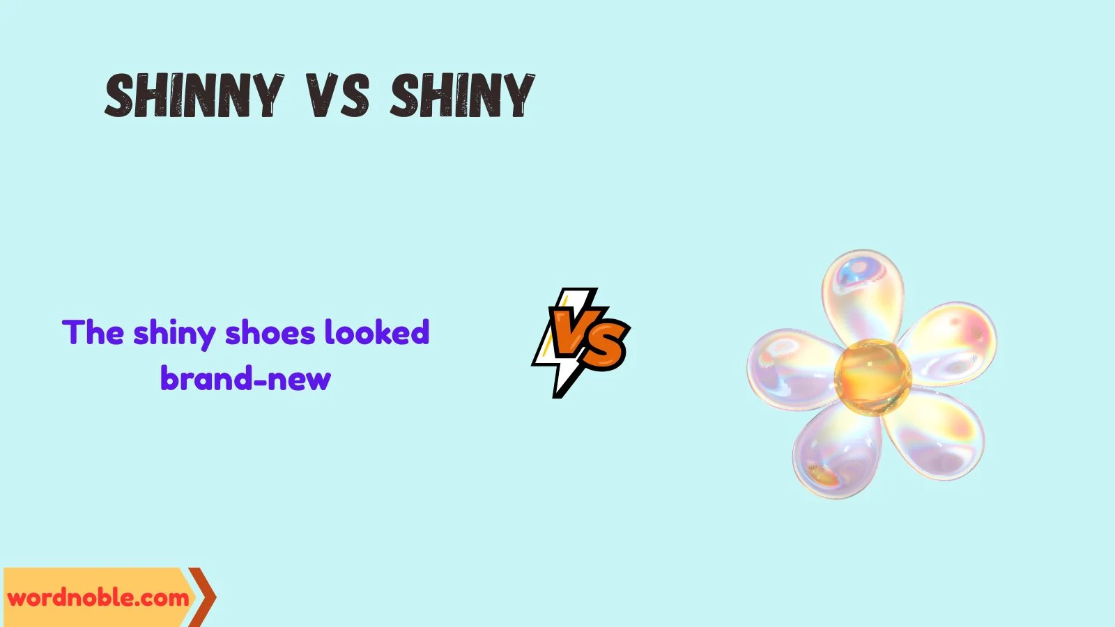 shinny vs shiny
