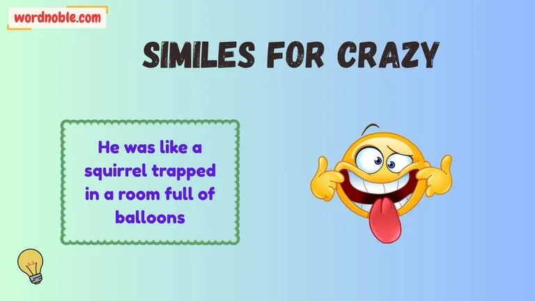 similes for crazy