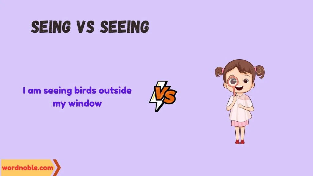 What Does Seeing Mean?